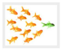 Online Thought Leadership