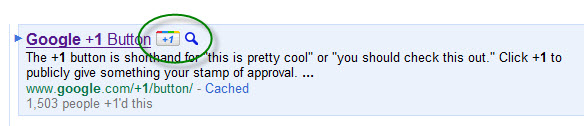 Google Plus 1 Button resized 600